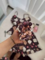 ست کراپ شورتگ بوگاتی تدی - Image 3